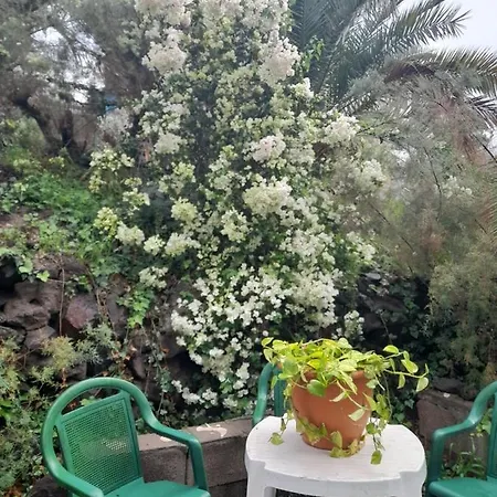 Apartman -the Garden - Las Palmas de Gran Canaria